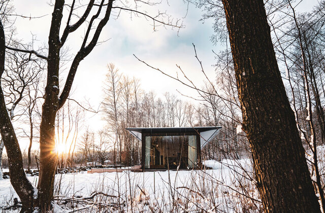 Shinrin-yoku - forest bathing in Sweden