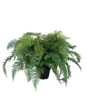 FERN 45 CM